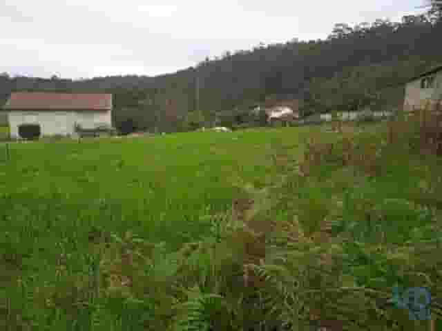 second image