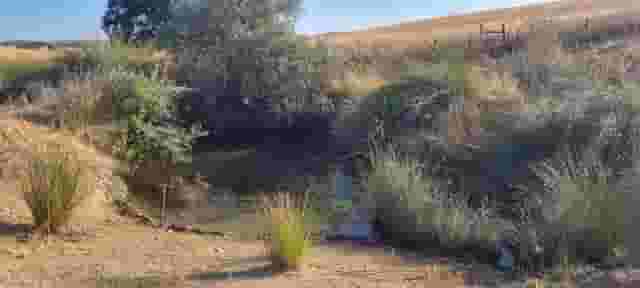 third image