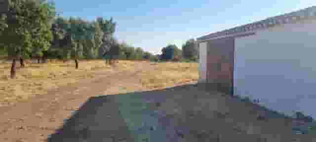 third image
