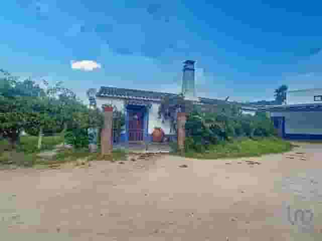 second image