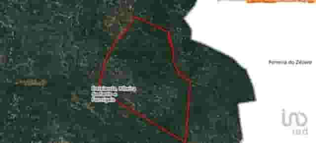 second image