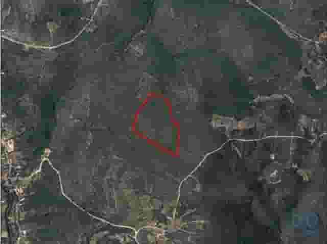 third image