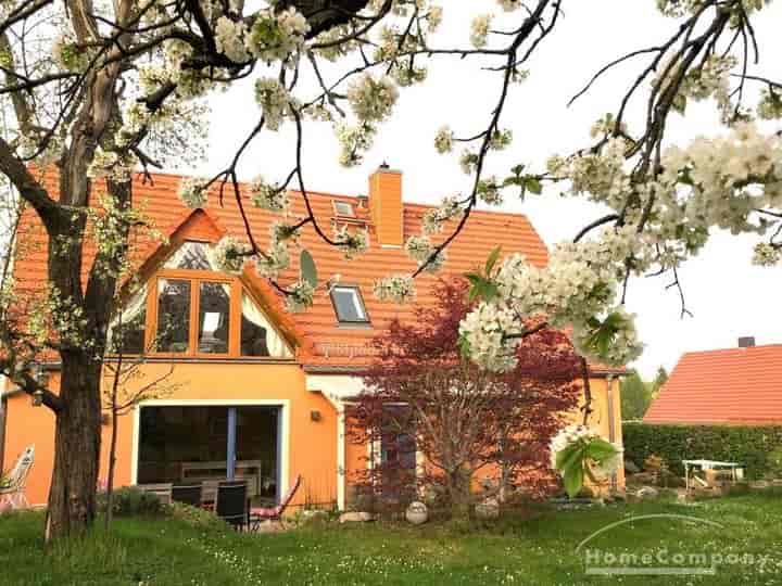 House for rent in Dresden                   - Sachsen, Germany