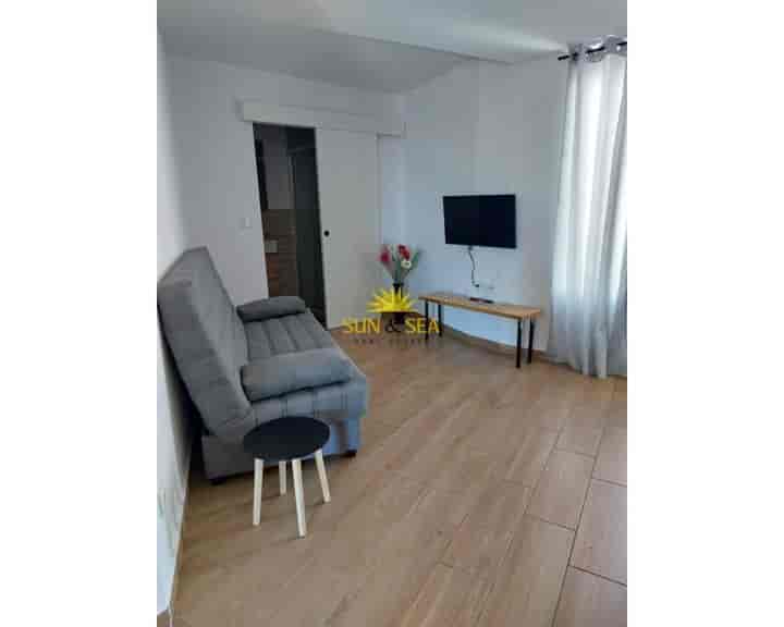 1 bedroom apartment for rent in Guardamar del Segura, Spain