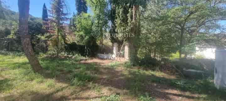 10 bedrooms house for sale in Sant Sadurni dAnoia, Spain