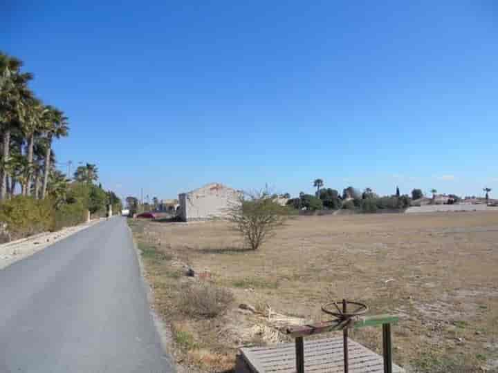 House for sale in Catral, Spain