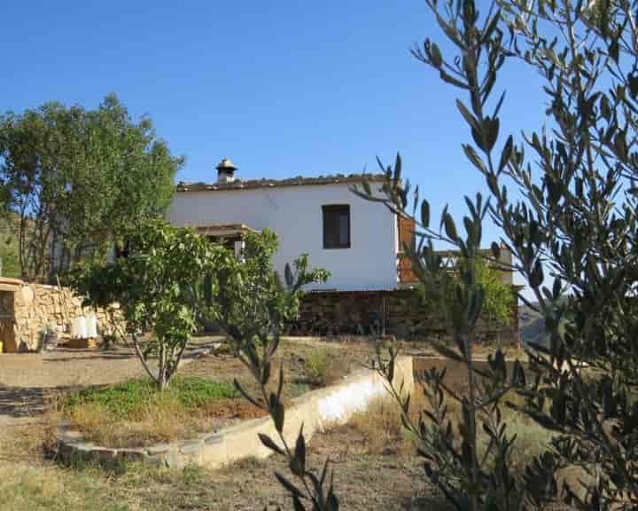 3 bedrooms house for sale in Alpujarra Granadina, Spain