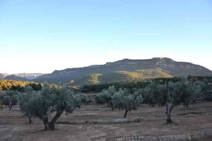 House for sale in Valderrobres, Spain