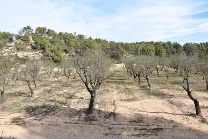 House for sale in Matarrana, Spain