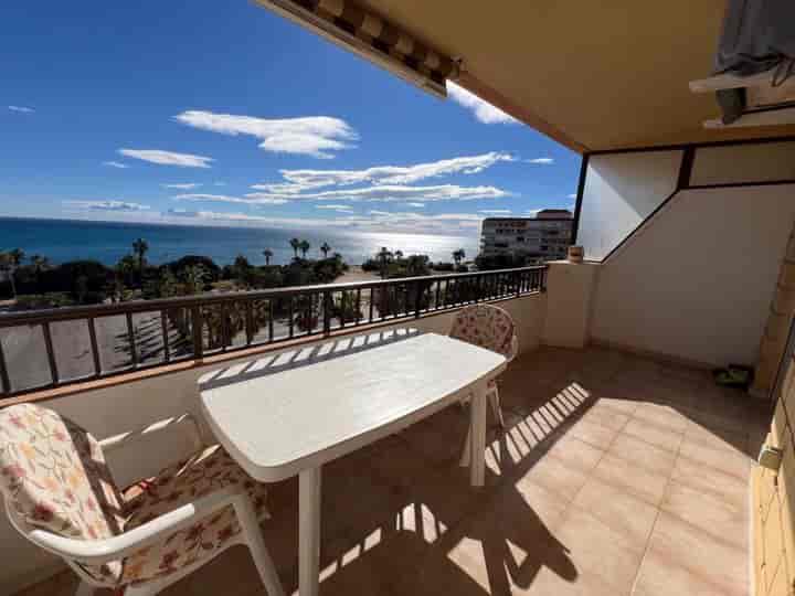 2 bedrooms apartment for rent in La Mata, Spain