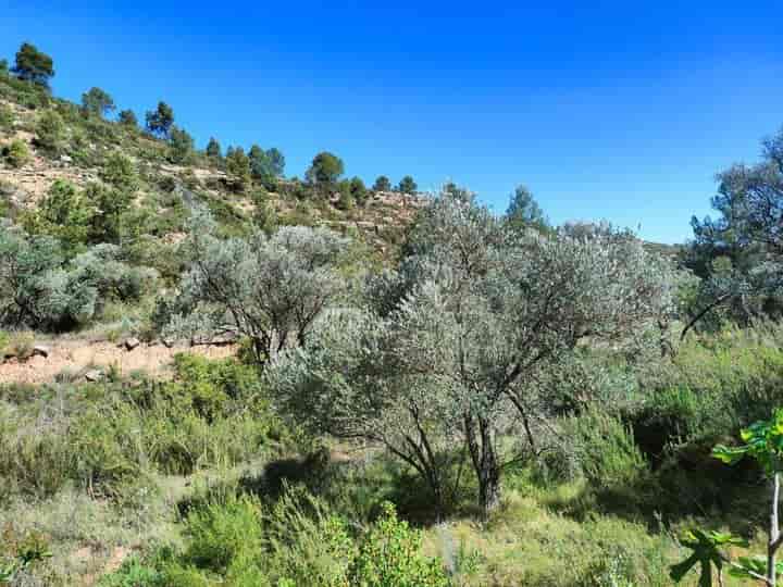 House for sale in Matarrana, Spain