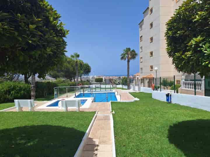 1 bedroom apartment for rent in Torrevieja, Spain