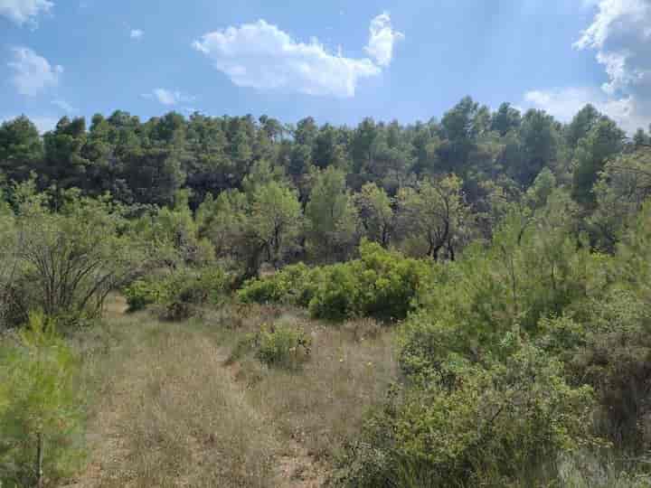 House for sale in Matarrana, Spain