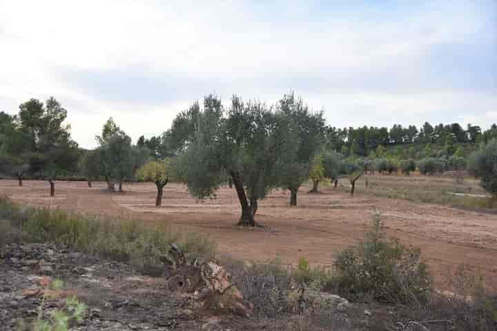 House for sale in Valderrobres, Spain