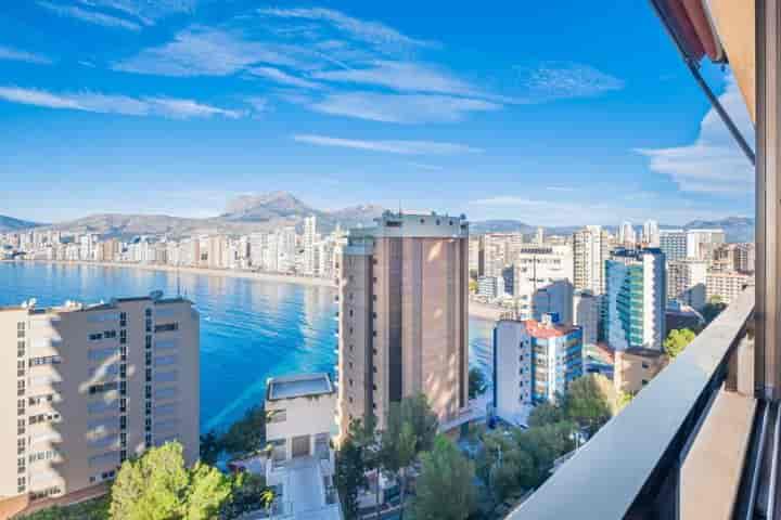 1 bedroom apartment for rent in Benidorm, Spain