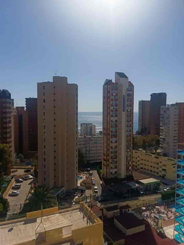 1 bedroom apartment for rent in Benidorm, Spain