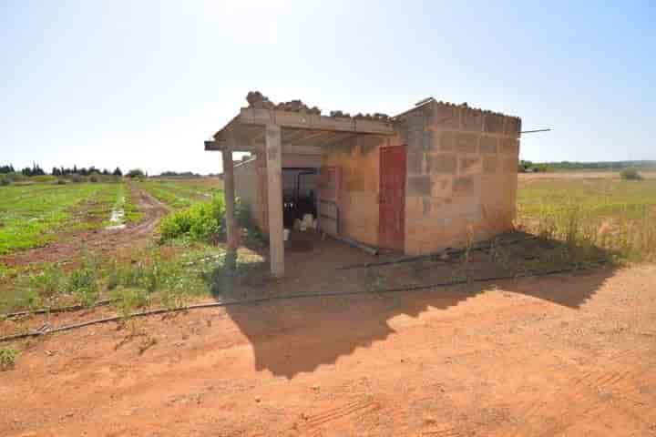 House for sale in Mallorca, Spain