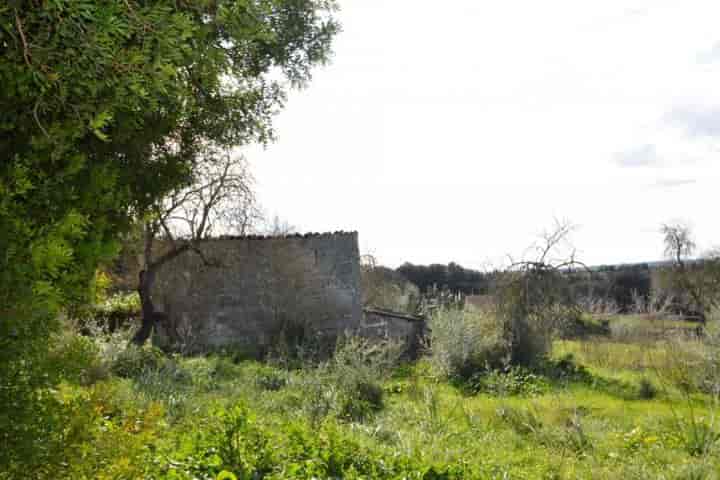 1 bedroom house for sale in Mallorca, Spain