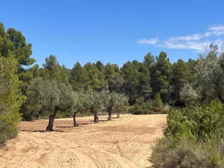 House for sale in Matarrana, Spain