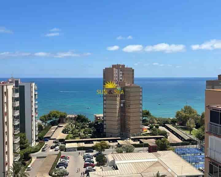 1 bedroom apartment for rent in Campoamor, Spain