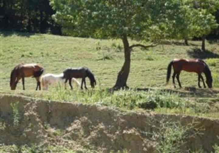 22 bedrooms house for sale in Girona, Spain