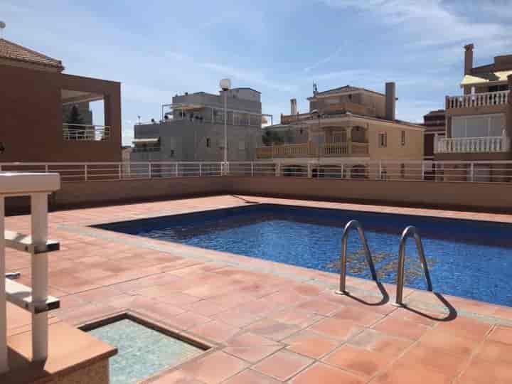 3 bedrooms apartment for rent in Oliva pueblo, Spain