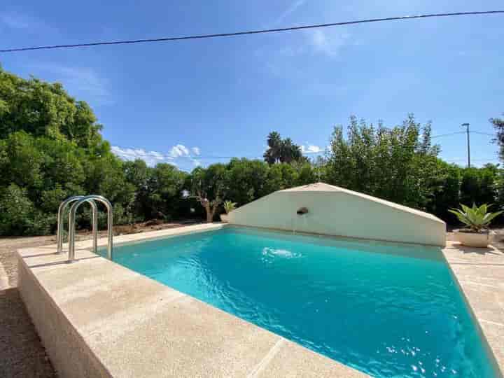 2 bedrooms house for rent in Vega Baja del Segura, Spain