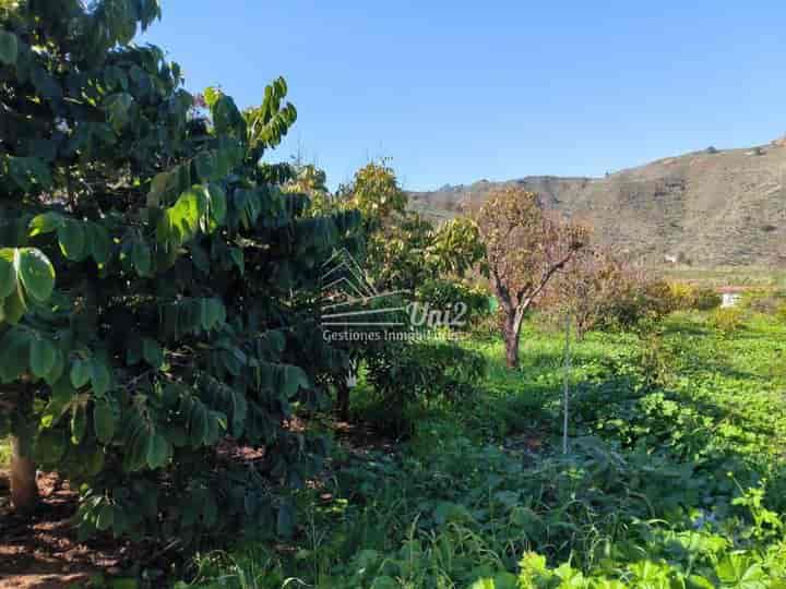 2 bedrooms house for sale in Valsequillo de Gran Canaria, Spain