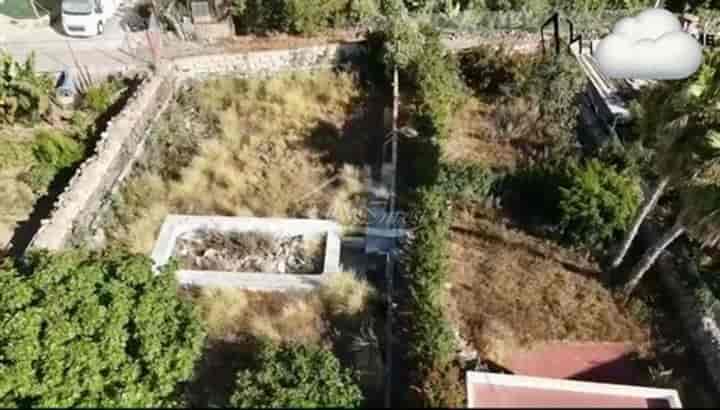 9 bedrooms house for sale in Guimar, Spain