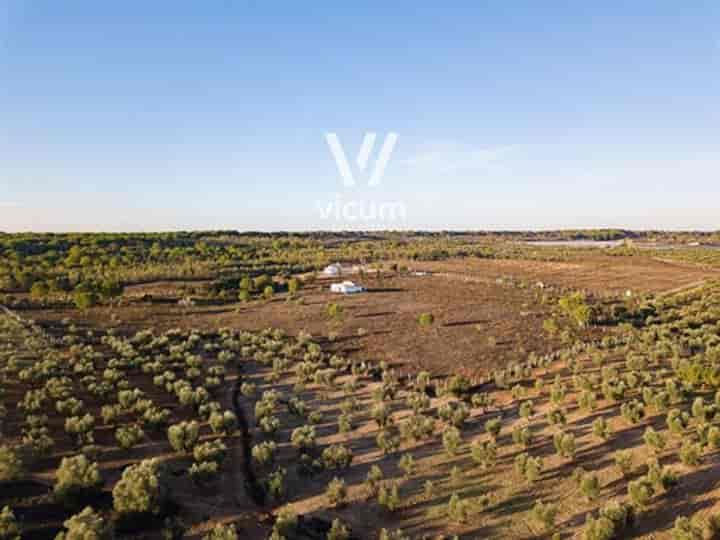 Other for sale in Almonte, Spain