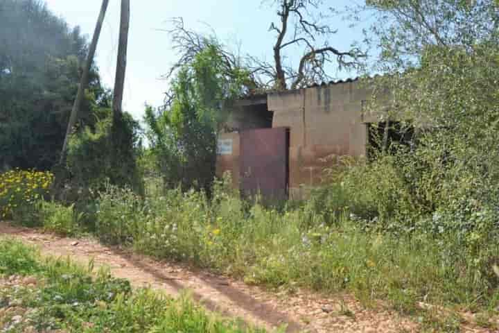 1 bedroom house for sale in Mallorca, Spain