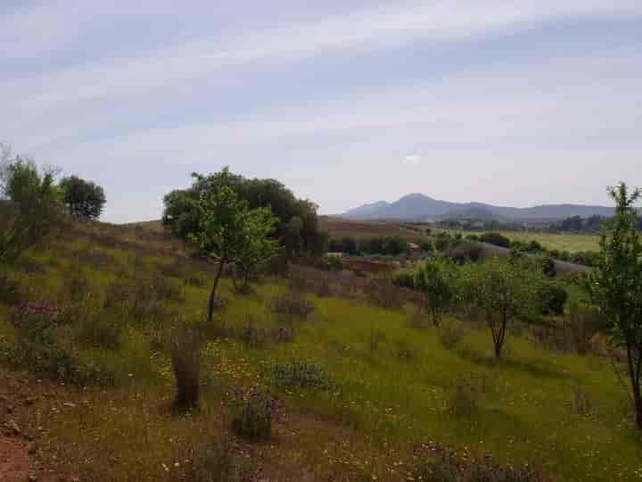 House for sale in Tierra de Merida - Vegas Bajas, Spain