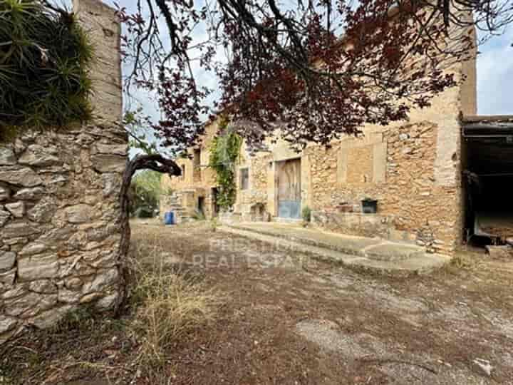 Other for sale in Arta, Spain