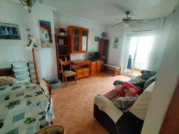 2 bedrooms apartment for rent in Nueva Torrevieja, Spain