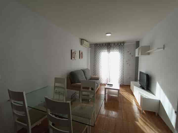 2 bedrooms apartment for rent in Vega de Granada, Spain