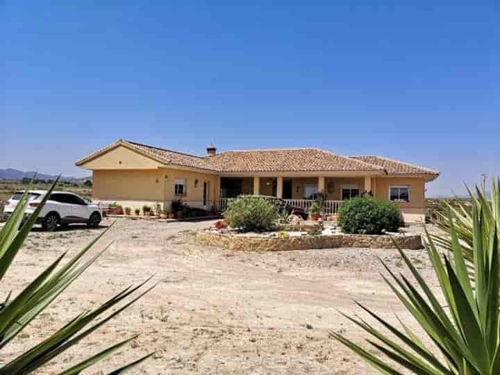 5 bedrooms house for sale in Totana, Spain