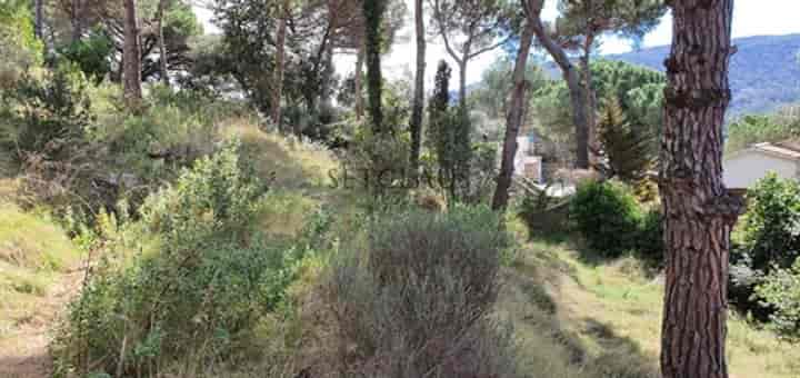 House for sale in Vallromanes, Spain