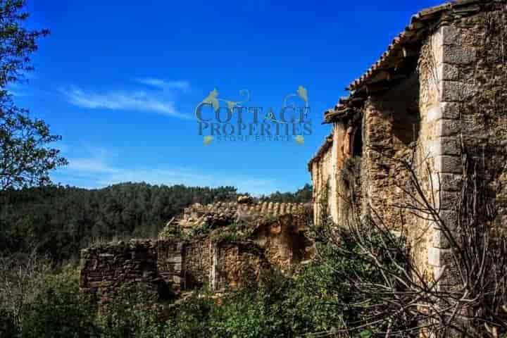 10 bedrooms house for sale in Girones, Spain