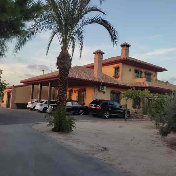 5 bedrooms house for rent in Campo de Murcia, Spain