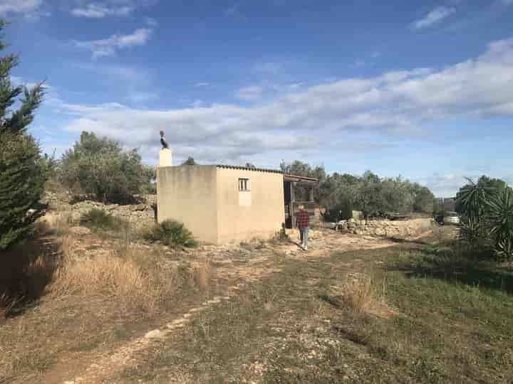 House for sale in El Perello, Spain