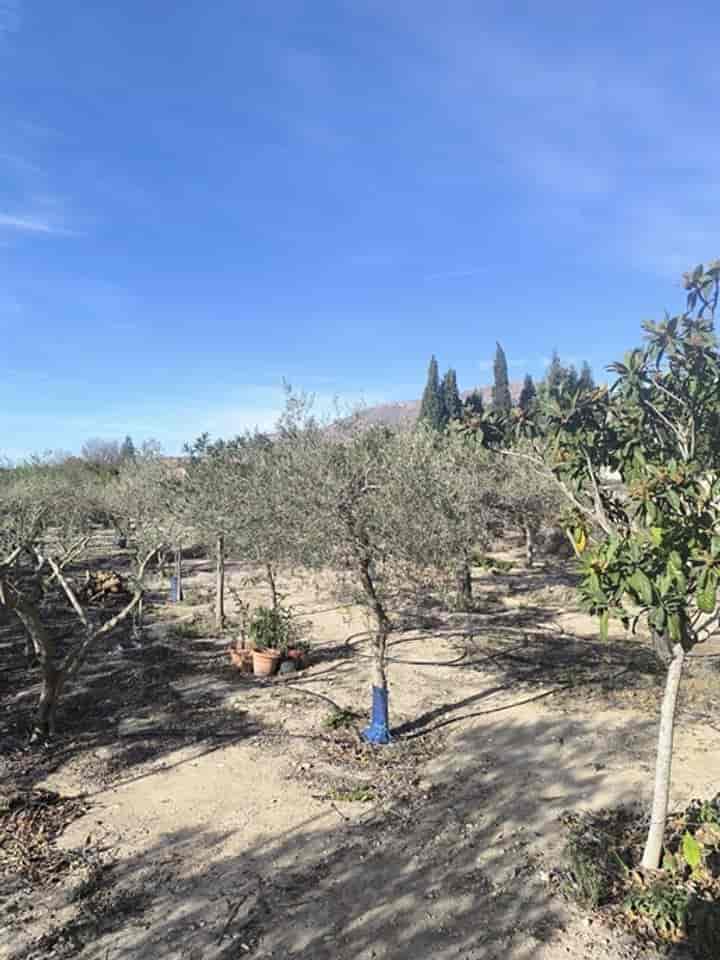 4 bedrooms house for sale in Agost, Spain