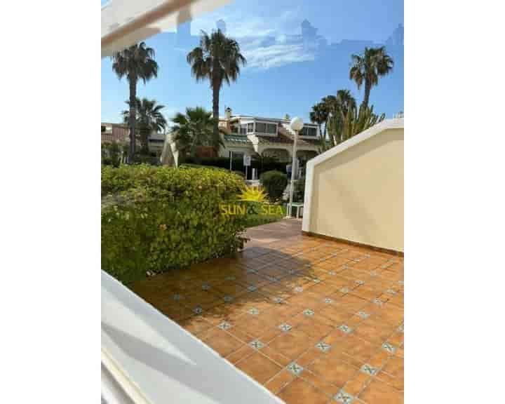 1 bedroom apartment for rent in Playa Flamenca, Spain