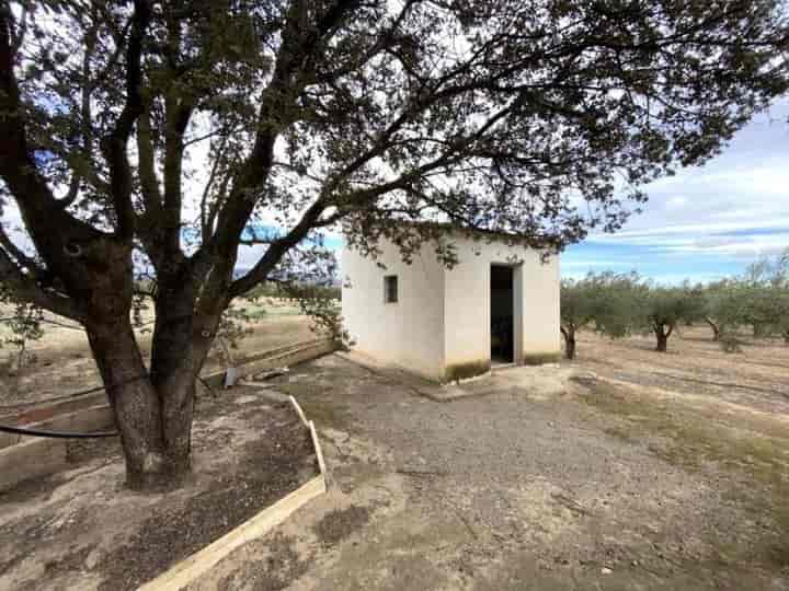 House for sale in Albacete, Spain