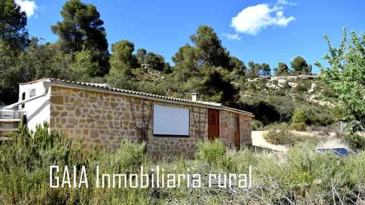 1 bedroom house for sale in Maella, Spain