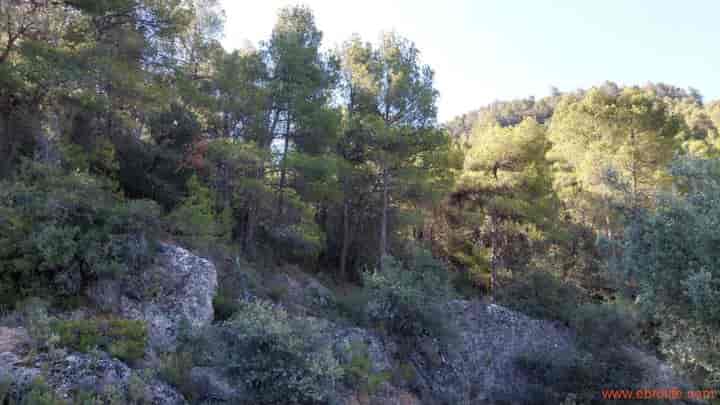 1 bedroom house for sale in Fuentespalda, Spain