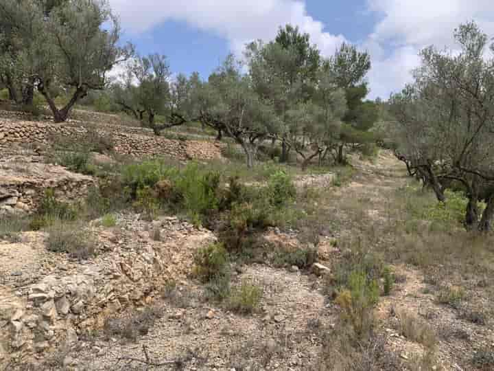 House for sale in El Perello, Spain