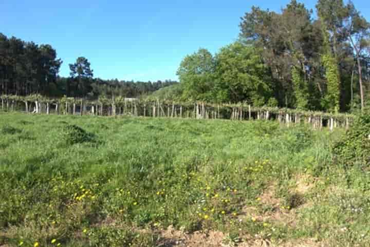House for sale in Salceda de Caselas, Spain