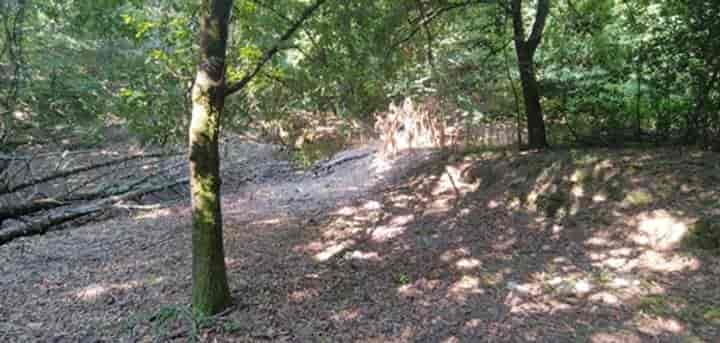 House for sale in Crecente, Spain