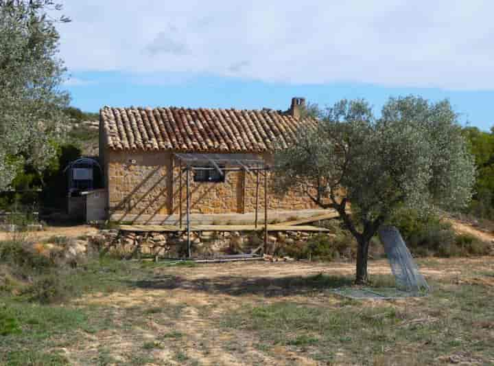 1 bedroom house for sale in Maella, Spain