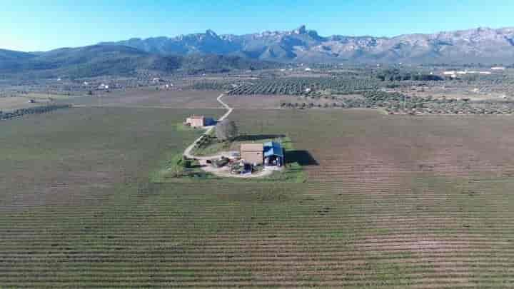 10 bedrooms house for sale in El Perello, Spain